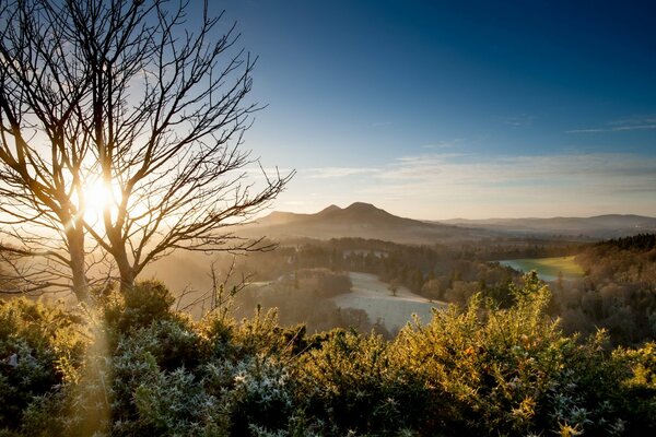 Aube dans les montagnes avec une rivière et un arbre