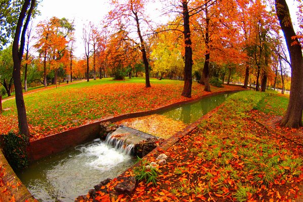 Ruisseau dans le parc d automne