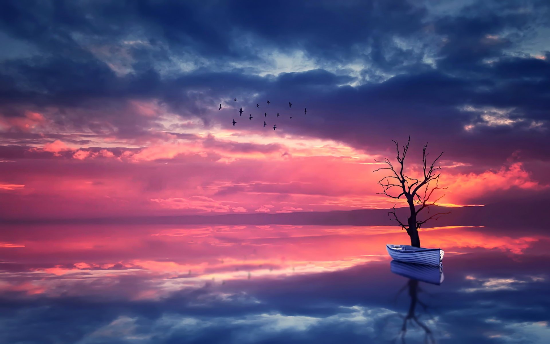 bateau arbre eau nature paysage ciel coucher de soleil oiseaux réflexion