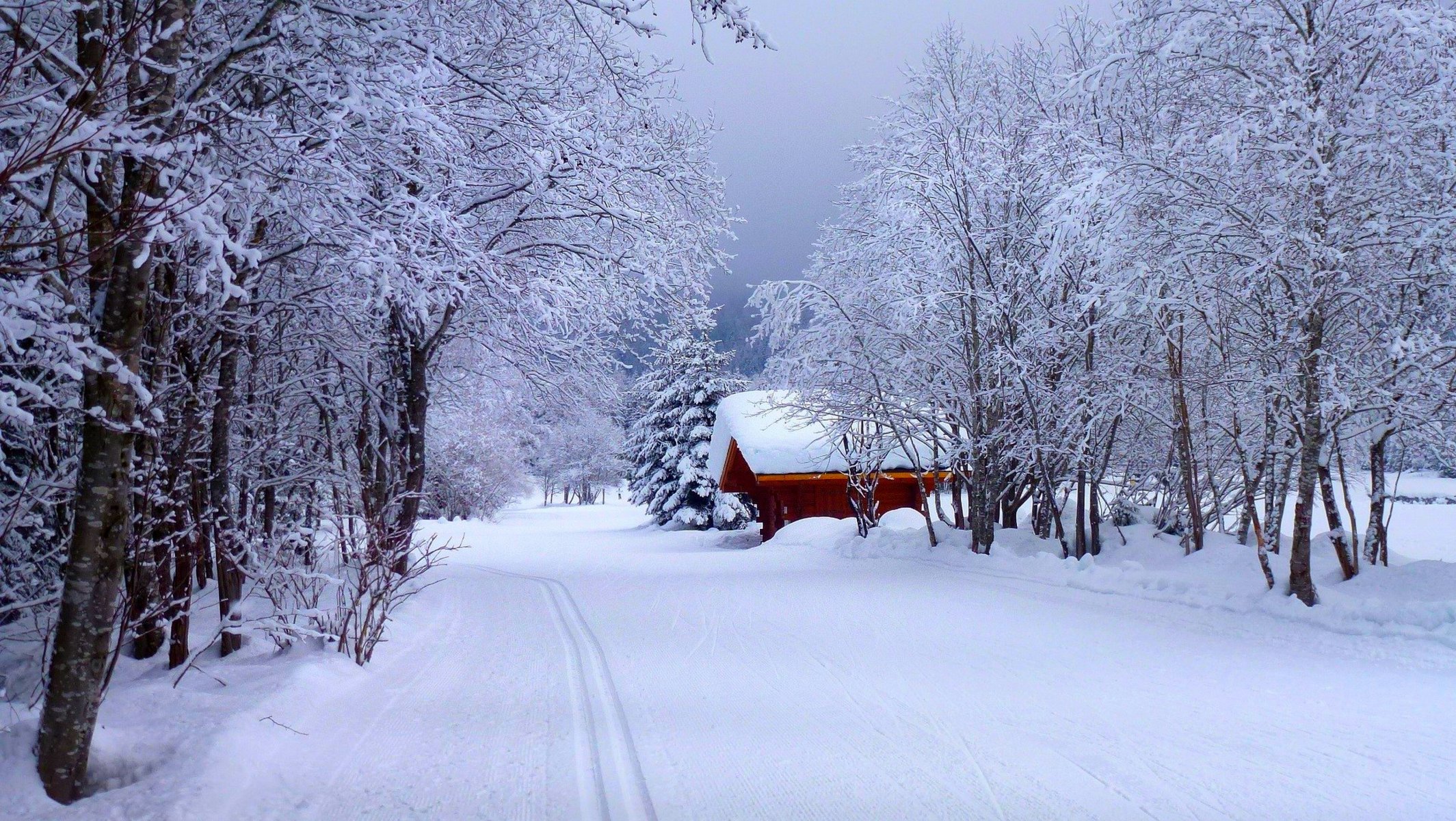 nature route maison forêt hiver neige ciel paysage hiver blanc sensa nice