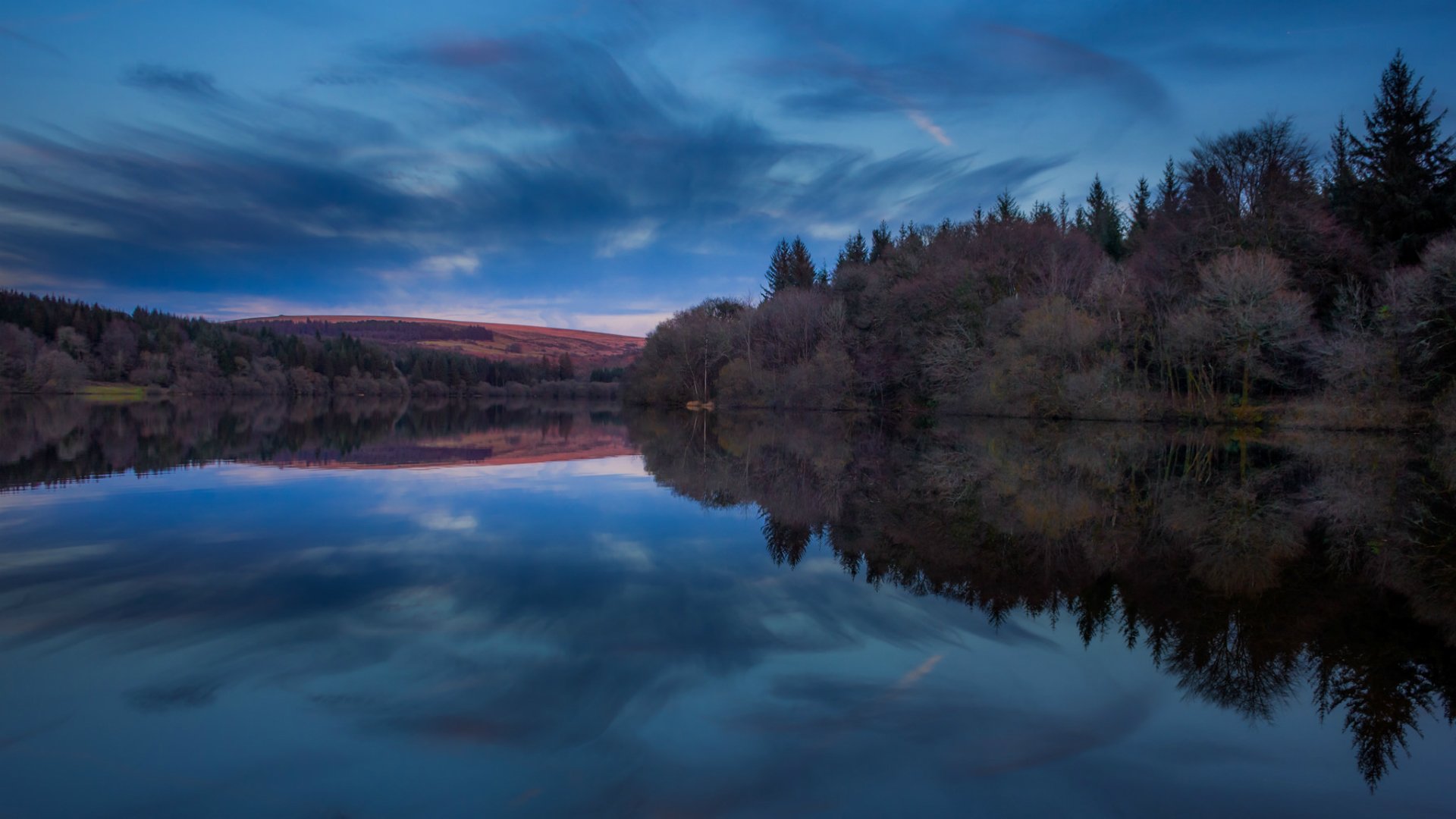 royaume-uni angleterre réservoir parc national forêt arbres soirée bleu ciel nuages réflexion nature