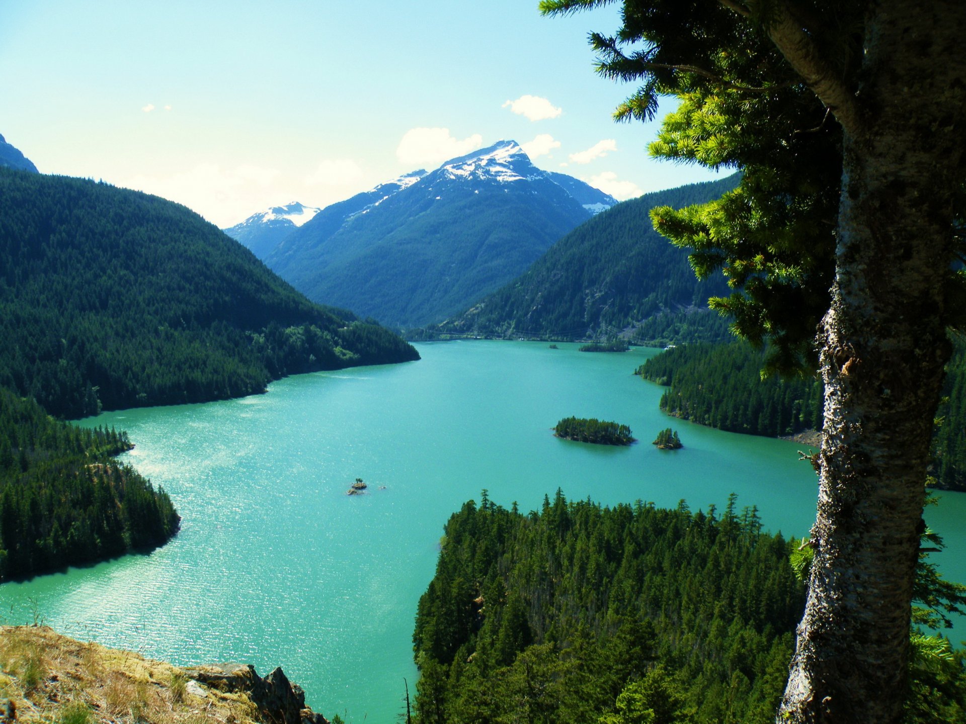 lac usa montagnes paysage washington diablo tronc arbres haut nature photo